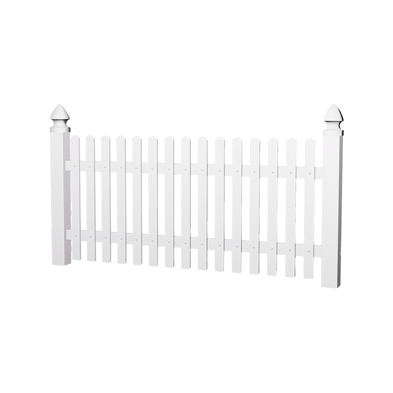 HAE1 Tradičný demonštrant pre psov